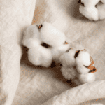 coton et lin