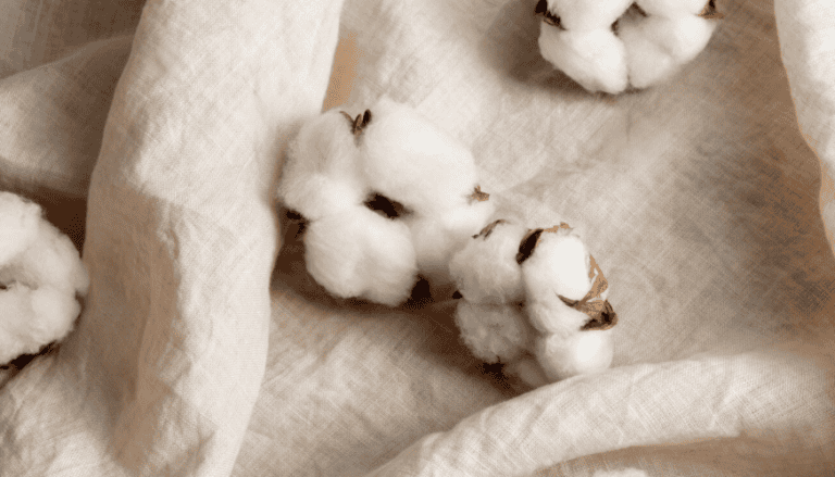 coton et lin